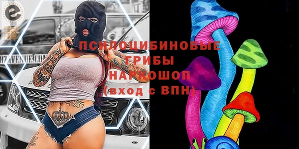 кокс Белокуриха